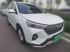 2021 Haval M6 Plus 1.5T DCT Luxury, белый — фото 24