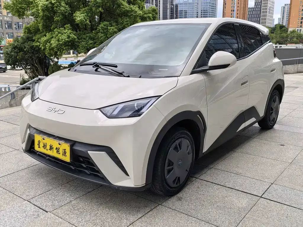 2025 BYD Seagull 305km Vitality