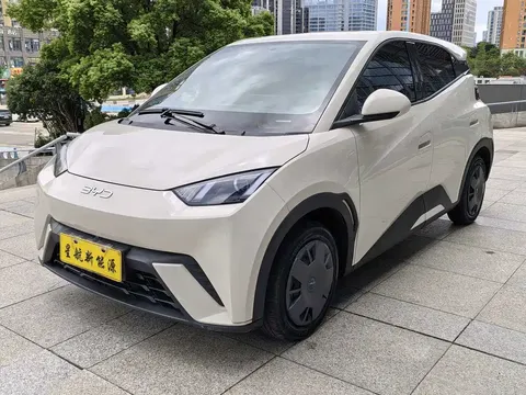 2025 BYD Seagull 305km Vitality