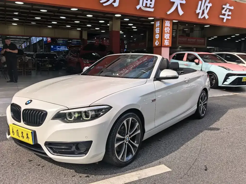 2019 BMW 2 Series 2 225i