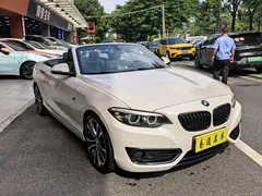 2019 BMW 2 Series 2 225i, белый — фото 4