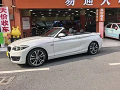2019 BMW 2 Series 2 225i, белый — фото 5