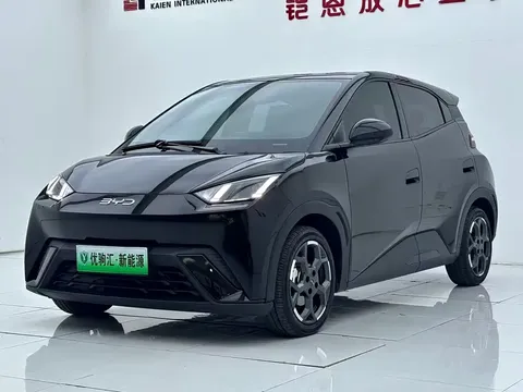 2025 BYD Seagull 305km Freedom