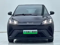2025 BYD Seagull 305km Freedom, чёрный — фото 3