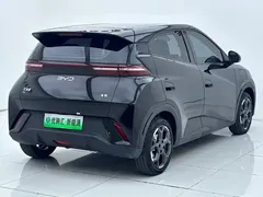 2025 BYD Seagull 305km Freedom, чёрный — фото 5