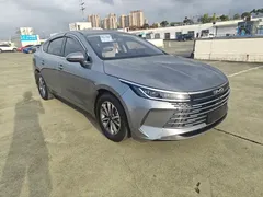 2024 BYD Destroyer 05 DM-i 55KM — фото 3