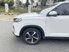 2021 Hyundai ix35 2.0L AT 2WD GLS Leading, белый — фото 6