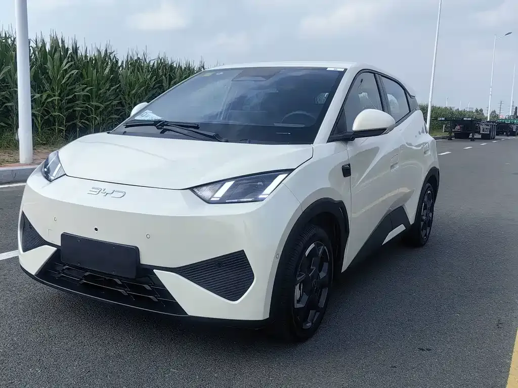 2025 BYD Seagull Smart Driving 305km Freedom