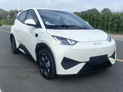 2025 BYD Seagull Smart Driving 305km Freedom, белый — фото 3