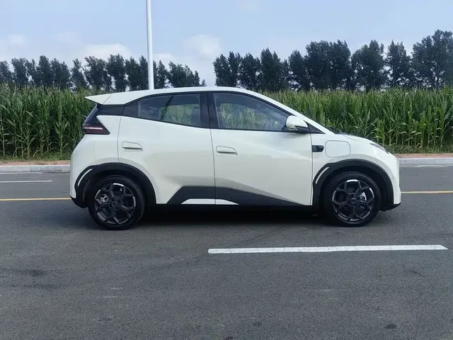2025 BYD Seagull Smart Driving 305km Freedom