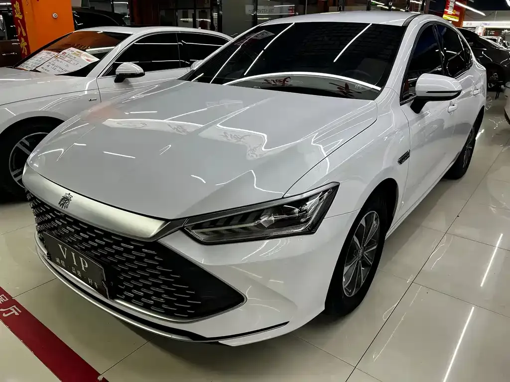 2024 BYD Qin PLUS 55KM