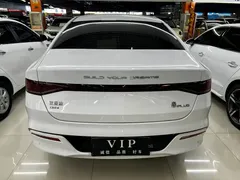 2024 BYD Qin PLUS 55KM, белый — фото 5