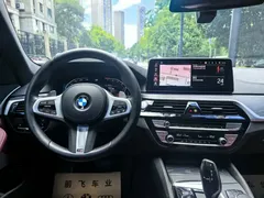 2022 BMW 5 Series 5 530Li M, чёрный — фото 8