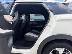 2025 BYD Dolphin 420km Freedom, белый — фото 6