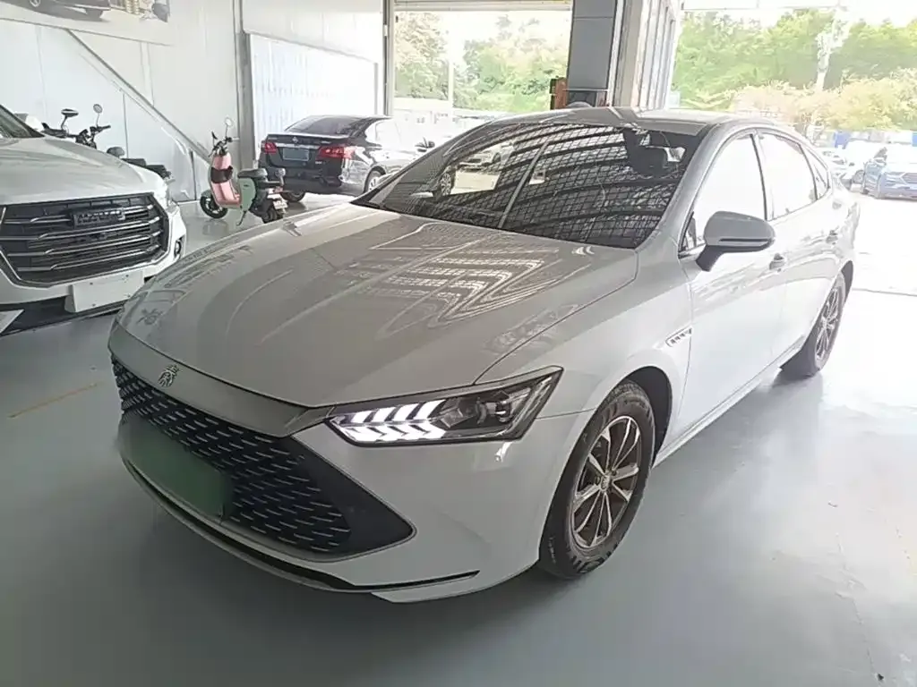 2023 BYD Qin PLUS 55KM