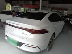 2023 BYD Qin PLUS 55KM, белый — фото 5