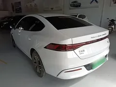 2023 BYD Qin PLUS 55KM, белый — фото 23