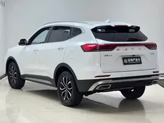 2023 Haval H6 1.5T AT, белый — фото 4