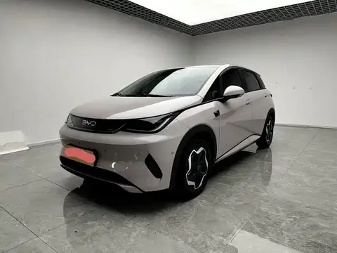 2025 BYD Dolphin Smart Driving 420km Freedom EV