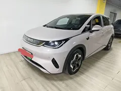 2025 BYD Dolphin Smart Driving 420km Freedom EV — фото 2