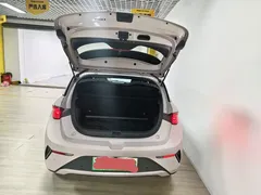 2025 BYD Dolphin Smart Driving 420km Freedom EV — фото 4