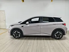 2025 BYD Dolphin Smart Driving 420km Freedom EV — фото 6