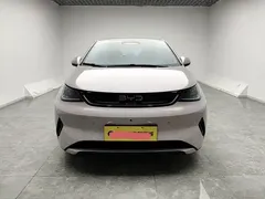2025 BYD Dolphin Smart Driving 420km Freedom EV — фото 11