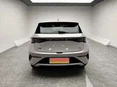 2025 BYD Dolphin Smart Driving 420km Freedom EV — фото 12