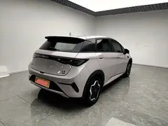 2025 BYD Dolphin Smart Driving 420km Freedom EV — фото 13