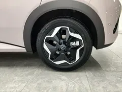 2025 BYD Dolphin Smart Driving 420km Freedom EV — фото 14