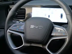 2025 BYD Sealion 06 DM-i 205 Pro — фото 13