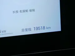 2025 BYD Sealion 06 DM-i 205 Pro — фото 18