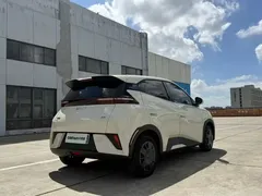 2025 BYD Seagull EV 305km, белый — фото 9