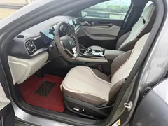 2023 BYD Qin PLUS 55KM — фото 15