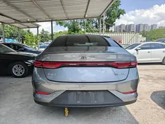2025 BYD Qin PLUS DM-i PHEV Smart Driving 55km Leading — фото 4