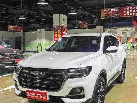 2023 Haval H6 1.5T AT Guochao Champion