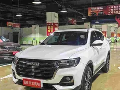 2023 Haval H6 1.5T AT Guochao Champion, белый — фото 1