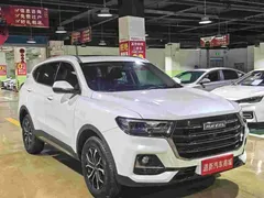 2023 Haval H6 1.5T AT Guochao Champion, белый — фото 2