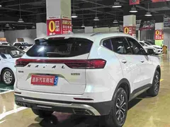 2023 Haval H6 1.5T AT Guochao Champion, белый — фото 7