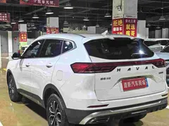 2023 Haval H6 1.5T AT Guochao Champion, белый — фото 9