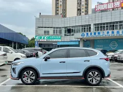 2022 Haval Chitu 1.5L DHT Hybrid, синий — фото 34