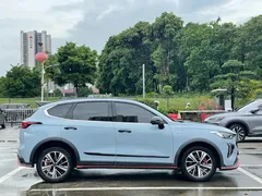 2022 Haval Chitu 1.5L DHT Hybrid, синий — фото 35