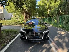 2026 Hongqi H5 1.5T DCT Pro, чёрный — фото 3