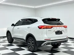 2023 Haval H6 1.5T AT, белый — фото 8