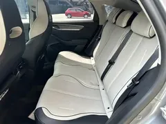 2024 BYD Destroyer 05 DM-i 120KM — фото 11