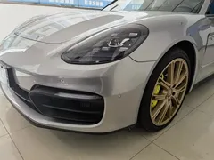 2021 Porsche Panamera 4 E-Hybrid 2.9T — фото 15