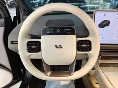 2025 Li Auto i6 2WD Standard, чёрный — фото 15