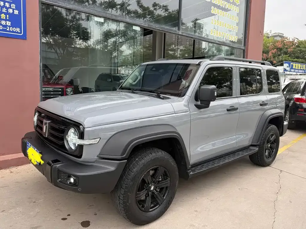 2021 Tank 300 2.0T