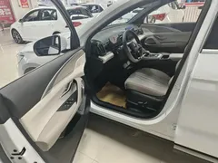 2024 BYD Song Pro 71KM, белый — фото 13