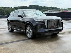 2022 Hongqi E-HS9 660km Qichang six seats, чёрный — фото 3